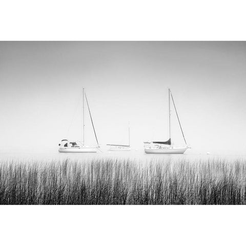 Island Boat Black Modern Wood Framed Art Print with Double Matting by Murray, Chris