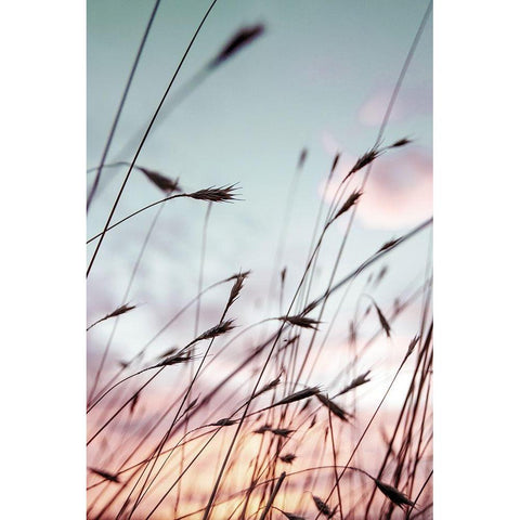 Falls Park Sunset Black Modern Wood Framed Art Print by Berhherm, Brent