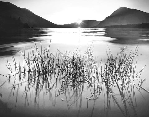 Whisper Lake White Modern Wood Framed Art Print with Double Matting by Gurche, Charles