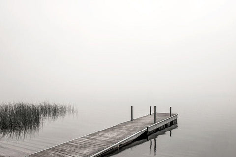 Morning Mist White Modern Wood Framed Art Print with Double Matting by Hawkins, Peter