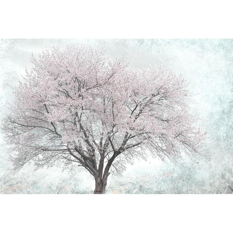 A Feel of Spring I Black Modern Wood Framed Art Print by Weisz, Irene