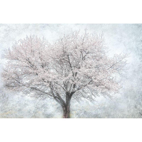 A Feel of Spring II Gold Ornate Wood Framed Art Print with Double Matting by Weisz, Irene