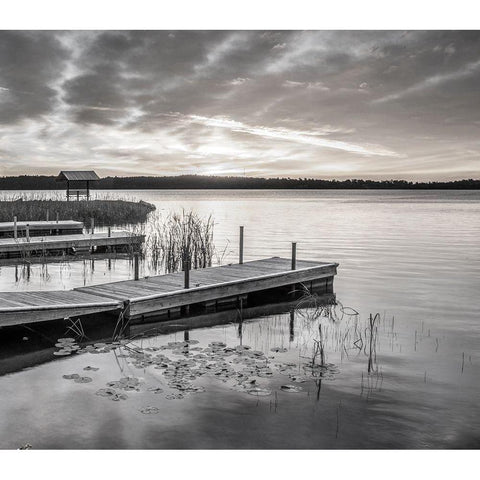 Soft Summer Black Modern Wood Framed Art Print with Double Matting by Hawkins, Peter