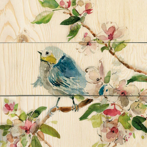 Birds and Blossoms II White Modern Wood Framed Art Print by Robinson, Carol