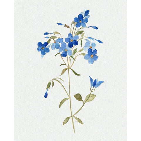 Blue Blossom Botanical II White Modern Wood Framed Art Print by Tava Studios
