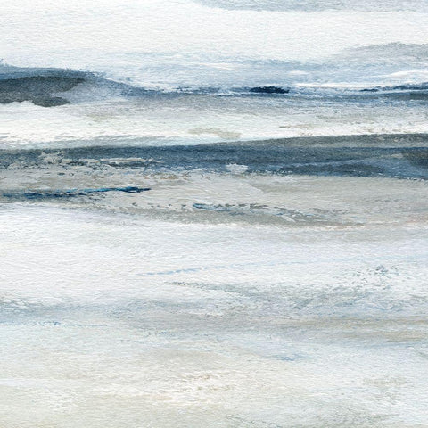 Ocean Currents II Black Ornate Wood Framed Art Print with Double Matting by Robinson, Carol