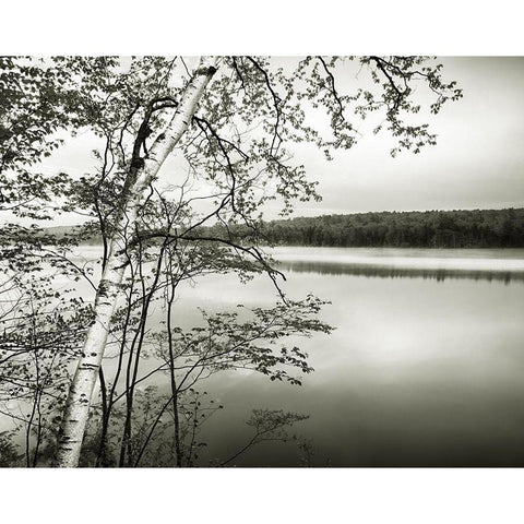 Adirondack Reflections White Modern Wood Framed Art Print by Murray, Chris