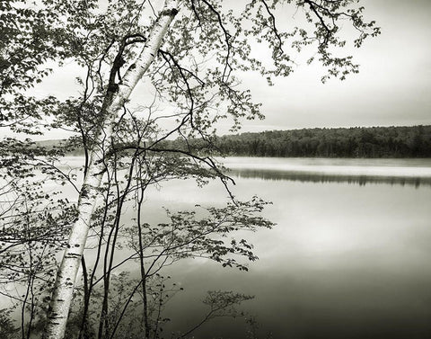 Adirondack Reflections White Modern Wood Framed Art Print with Double Matting by Murray, Chris