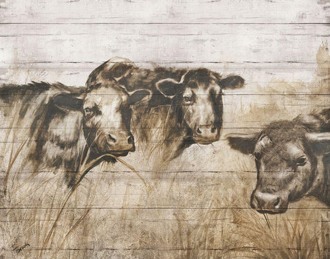 Sepia Cows White Modern Wood Framed Art Print with Double Matting by Brooks, Donna