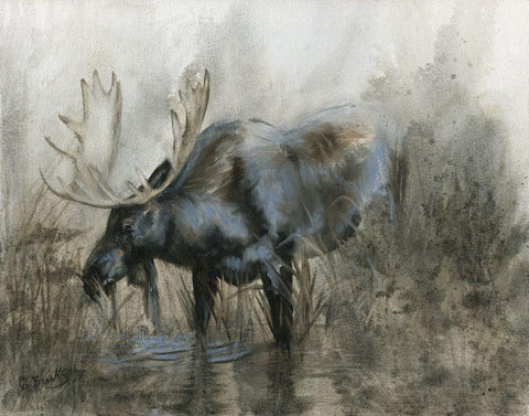 Majestic Elk White Modern Wood Framed Art Print with Double Matting by Brooks, Donna