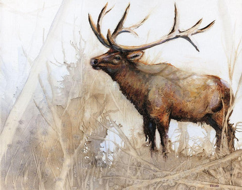 Majestic Moose Black Ornate Wood Framed Art Print with Double Matting by Brooks, Donna