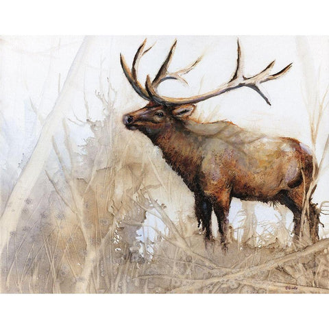 Majestic Moose Black Modern Wood Framed Art Print by Brooks, Donna