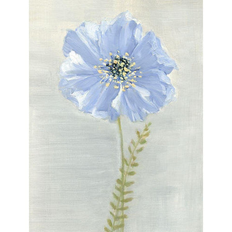 Jardin Bleu II White Modern Wood Framed Art Print by Swatland, Sally