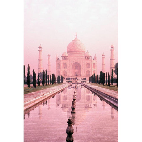 Taj Mahal In Pink Light Black Modern Wood Framed Art Print with Double Matting by Bachmann, Bill