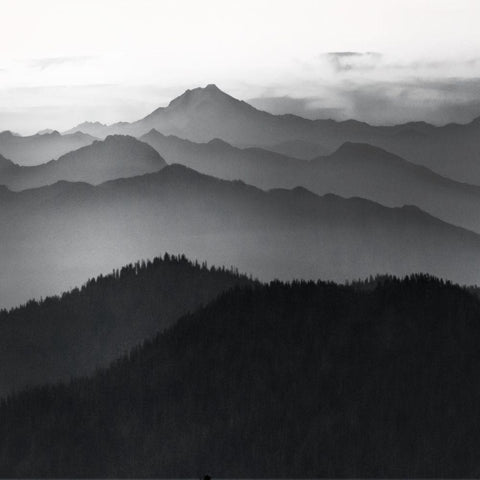 Cascades Black Modern Wood Framed Art Print with Double Matting by Delimont, Danita