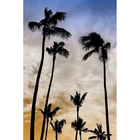 Evenings Edge I Black Modern Wood Framed Art Print with Double Matting by Carpentieri, Natalie