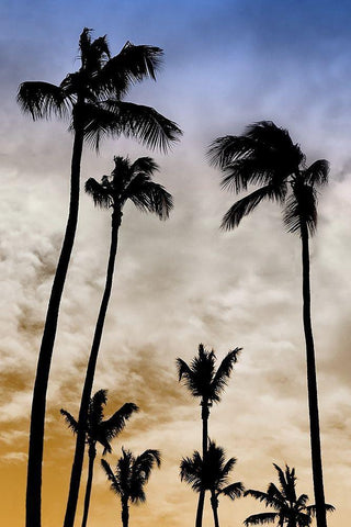 Evenings Edge I White Modern Wood Framed Art Print with Double Matting by Carpentieri, Natalie