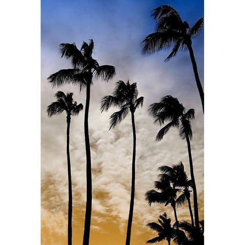 Evenings Edge II Black Modern Wood Framed Art Print with Double Matting by Carpentieri, Natalie