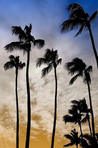 Evenings Edge II White Modern Wood Framed Art Print with Double Matting by Carpentieri, Natalie