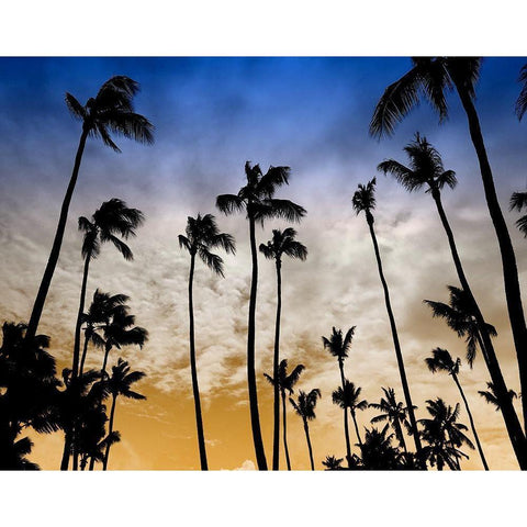 Evenings Edge White Modern Wood Framed Art Print by Carpentieri, Natalie