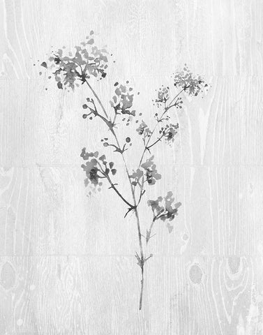 Neutral Meadow I Black Ornate Wood Framed Art Print with Double Matting by Knutsen, Conrad
