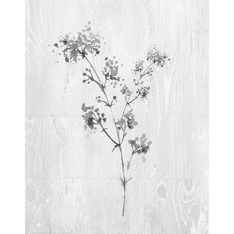 Neutral Meadow I Black Modern Wood Framed Art Print with Double Matting by Knutsen, Conrad