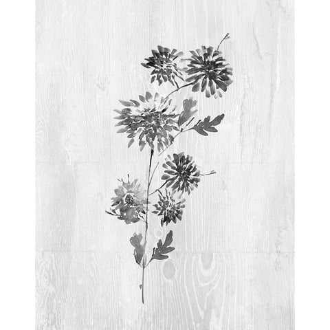 Neutral Meadow II Black Modern Wood Framed Art Print with Double Matting by Knutsen, Conrad