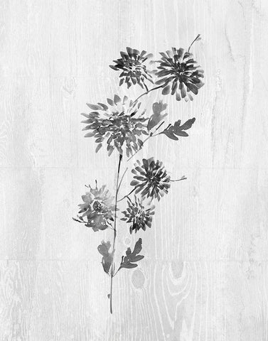 Neutral Meadow II Black Ornate Wood Framed Art Print with Double Matting by Knutsen, Conrad