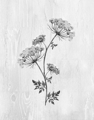 Neutral Meadow III Black Ornate Wood Framed Art Print with Double Matting by Knutsen, Conrad