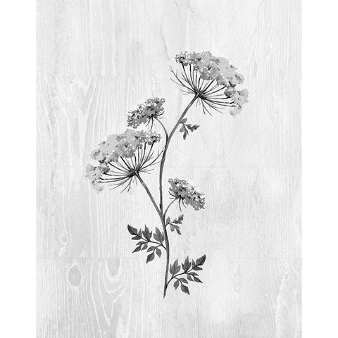 Neutral Meadow III White Modern Wood Framed Art Print by Knutsen, Conrad
