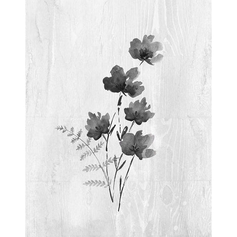 Neutral Meadow IV Black Modern Wood Framed Art Print by Knutsen, Conrad