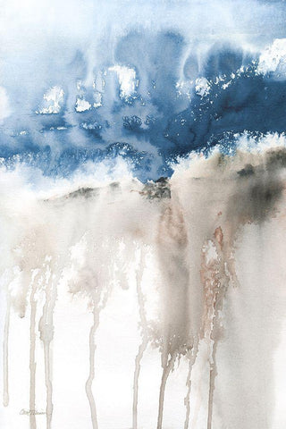 Windy Cliff I Black Ornate Wood Framed Art Print with Double Matting by Robinson, Carol