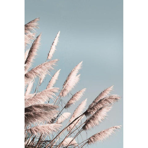 Pretty Pampas II White Modern Wood Framed Art Print by Bergham, Brent