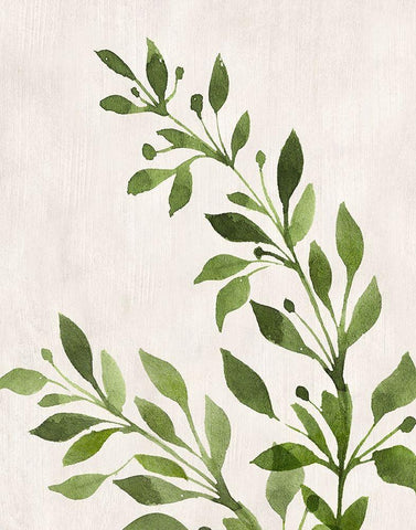 Botanical Wash I White Modern Wood Framed Art Print with Double Matting by Knutsen, Conrad