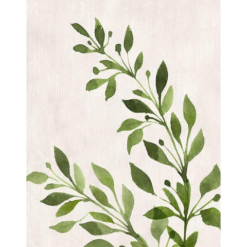 Botanical Wash I Black Modern Wood Framed Art Print by Knutsen, Conrad