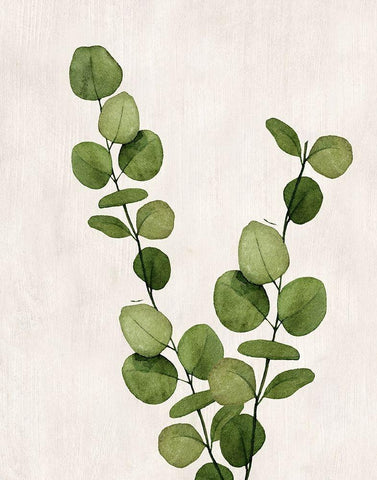 Botanical Wash III White Modern Wood Framed Art Print with Double Matting by Knutsen, Conrad
