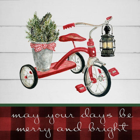 Christmas Tricycle White Modern Wood Framed Art Print with Double Matting by Robinson, Carol