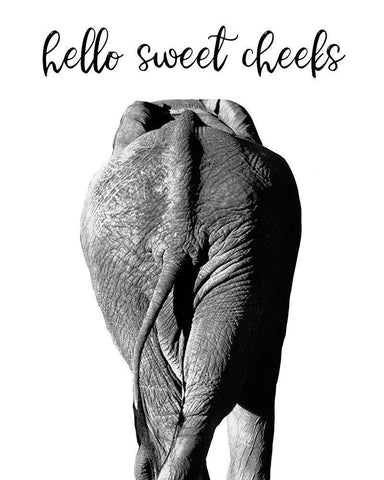 Elephant Bum Black Ornate Wood Framed Art Print with Double Matting by Delimont, Danita