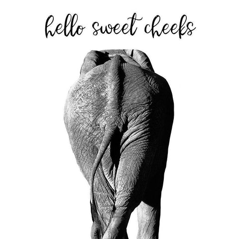 Elephant Bum Black Modern Wood Framed Art Print by Delimont, Danita