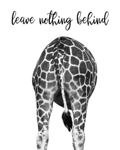 Giraffe Bum Black Ornate Wood Framed Art Print with Double Matting by Delimont, Danita