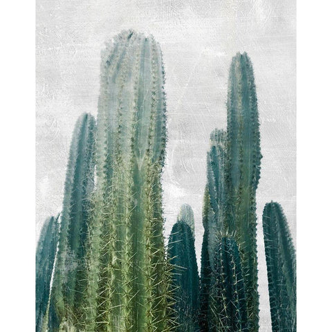 Aruba Cacti I White Modern Wood Framed Art Print by Carpentieri, Natalie