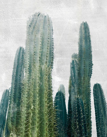 Aruba Cacti I Black Ornate Wood Framed Art Print with Double Matting by Carpentieri, Natalie