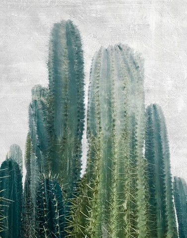 Aruba Cacti Black Ornate Wood Framed Art Print with Double Matting by Carpentieri, Natalie