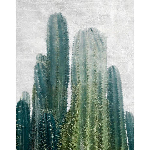Aruba Cacti Black Modern Wood Framed Art Print by Carpentieri, Natalie
