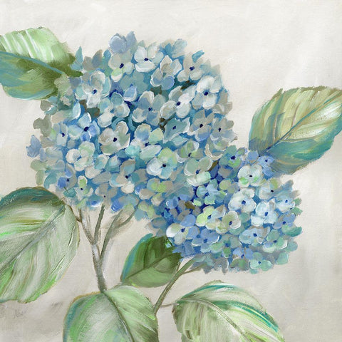 Hydrangea Beauty I White Modern Wood Framed Art Print with Double Matting by Nan