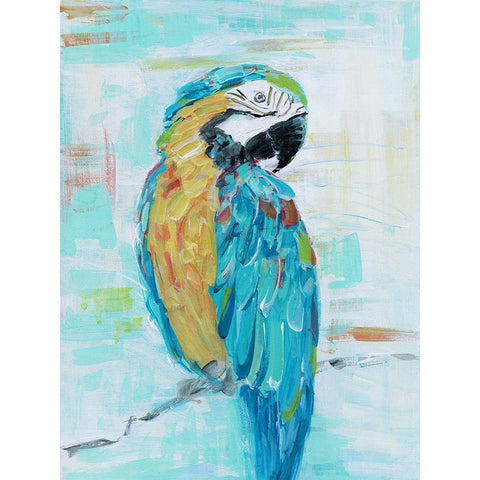 Island Parrot I White Modern Wood Framed Art Print by Swatland, Sally