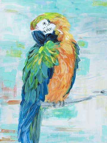 Island Parrot II White Modern Wood Framed Art Print with Double Matting by Swatland, Sally