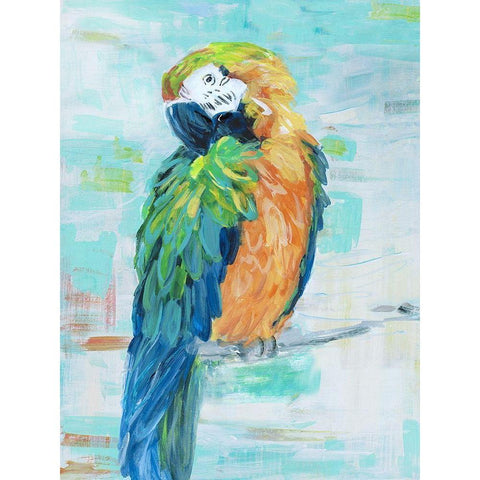 Island Parrot II Black Modern Wood Framed Art Print by Swatland, Sally