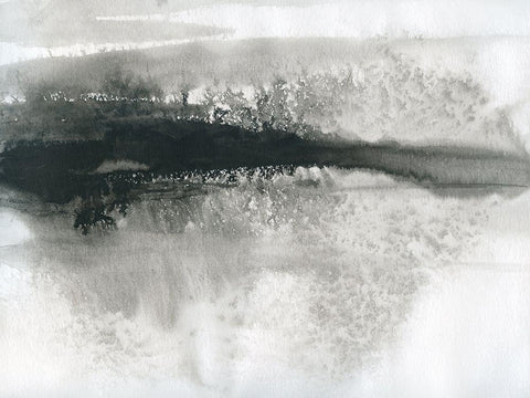 Lake Drama II Black Ornate Wood Framed Art Print with Double Matting by Robinson, Carol