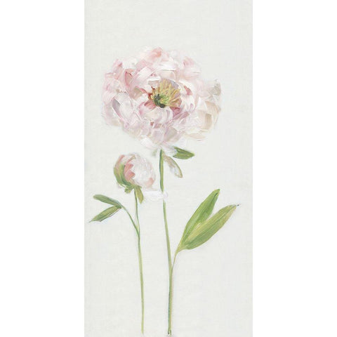 Single Stem Peony I White Modern Wood Framed Art Print by Swatland, Sally